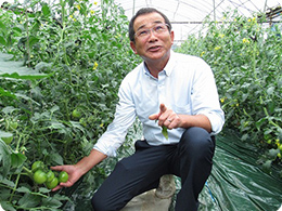 トマトの農法を説明する安藤社長