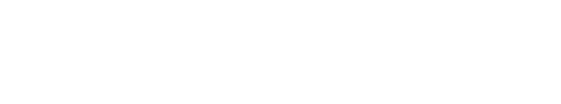 ネット注文予約 4種の肉系ライスバーガー限定セット