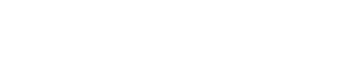 4種の肉系ライスバーガー限定セット