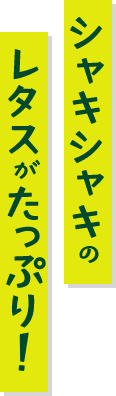 シャキシャキのレタスがたっぷり!