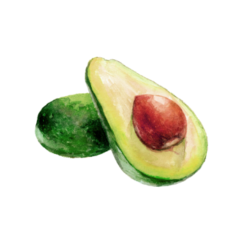 avocado