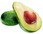 avocado